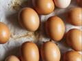 free range eggs on a board
